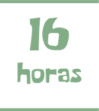 16 horas